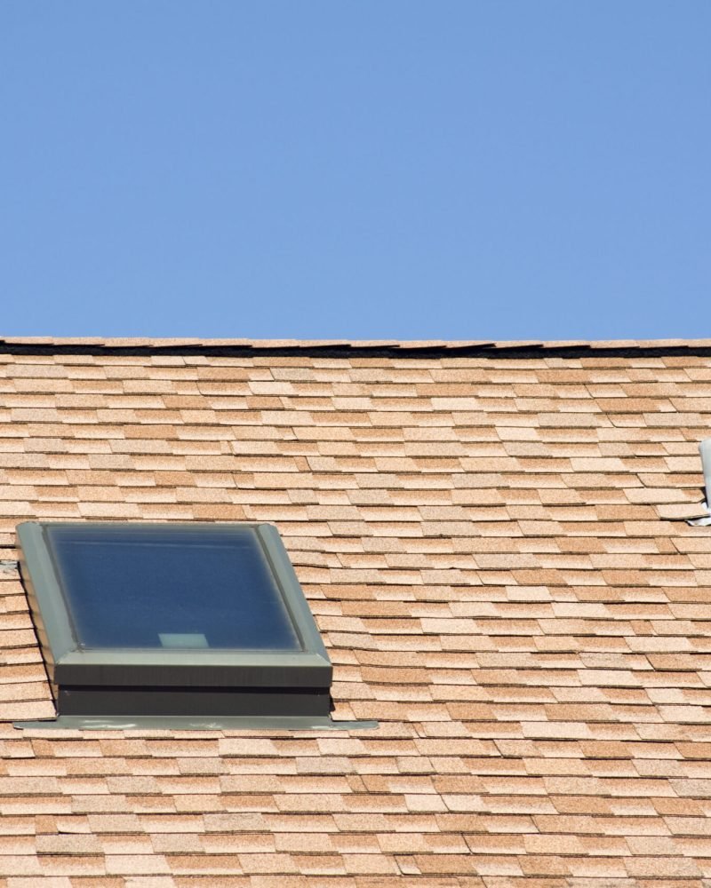 shingled-roof-with-skylight-and-plumbing-vent-2026-03-26-11-37-04-utc